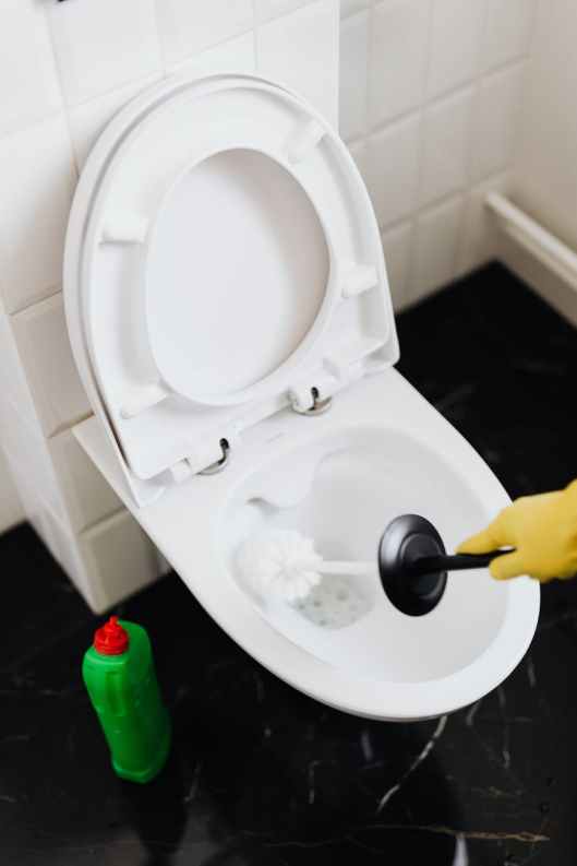 crop person cleaning toilet with brush